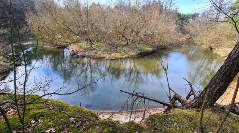 Chatka Nad Swidrem Mladz Esterno foto