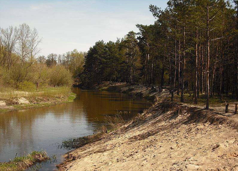 Chatka Nad Swidrem Mladz Esterno foto